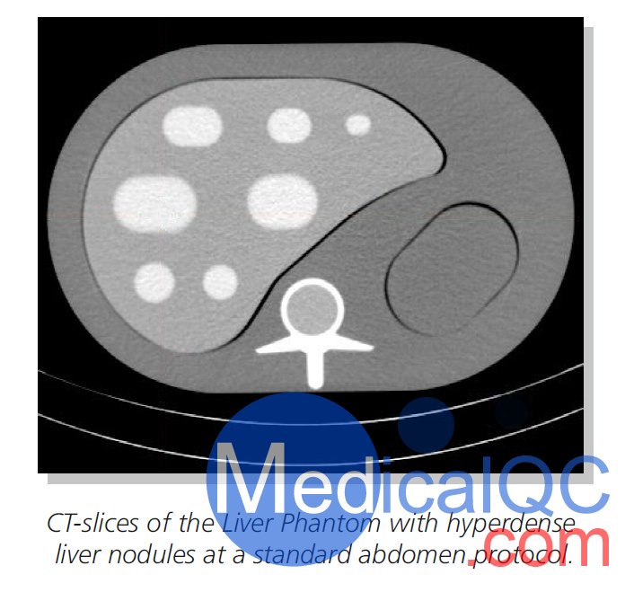 QRM-Liver-Phantom肝結(jié)節(jié)模體,QRM肝結(jié)節(jié)模型