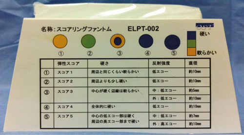 ELPT-002彈性成像模型，ELPT-002彈性成像模體