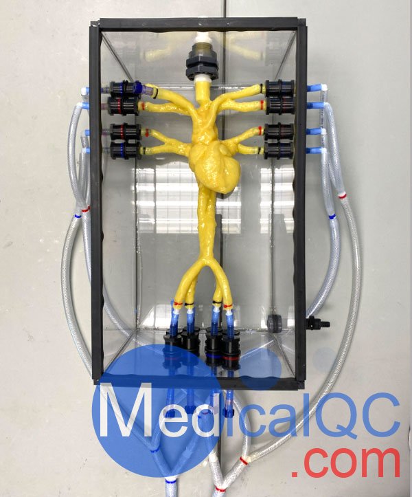 HT-A01成人心臟模體,HT-A01心臟超聲模體俯視圖