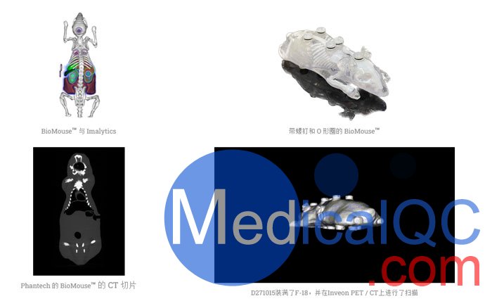 BioMouse模體,BioMouse小鼠模型，Phantech Bio-Mouse多功能小鼠模體